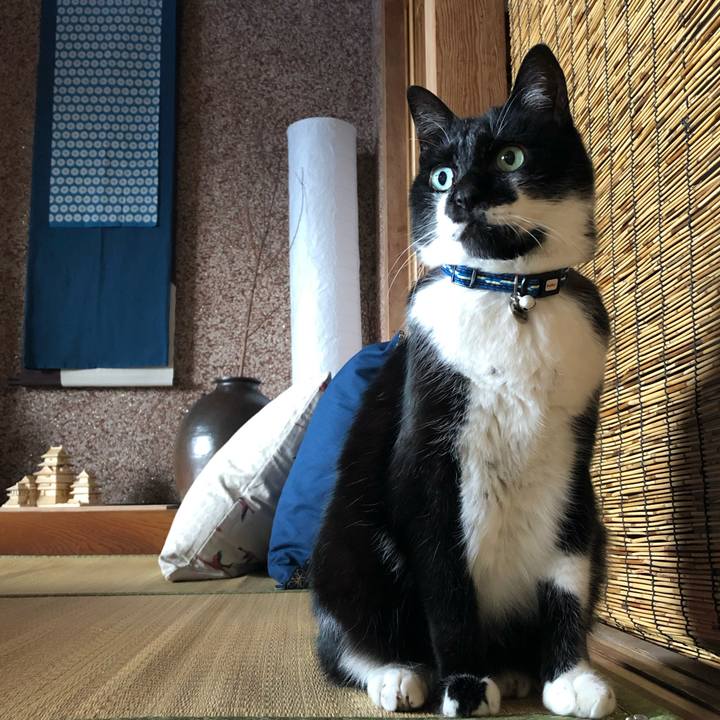 Ff1699f7 16ef 4db5 813f 2a22c1075010 1593952011555