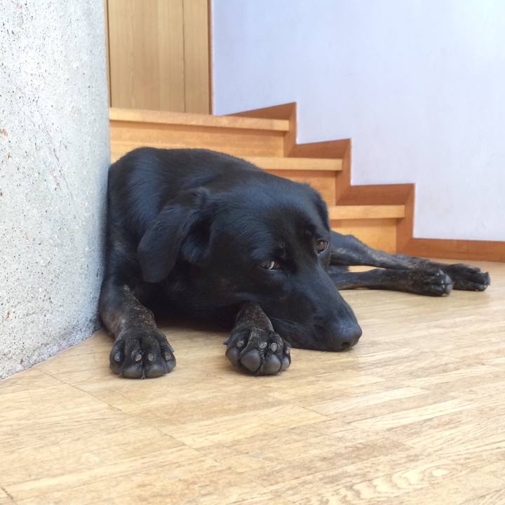 Ff169d73 cc69 48ab 8003 690f1b852776 1531533107909