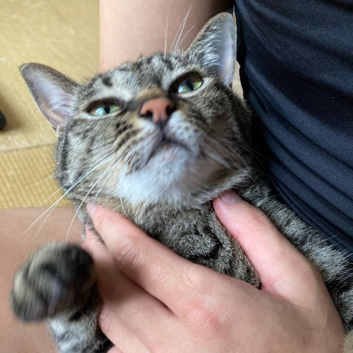 Ff16b1ec c962 47dd a04f 83f6c46079c0 1594437407017