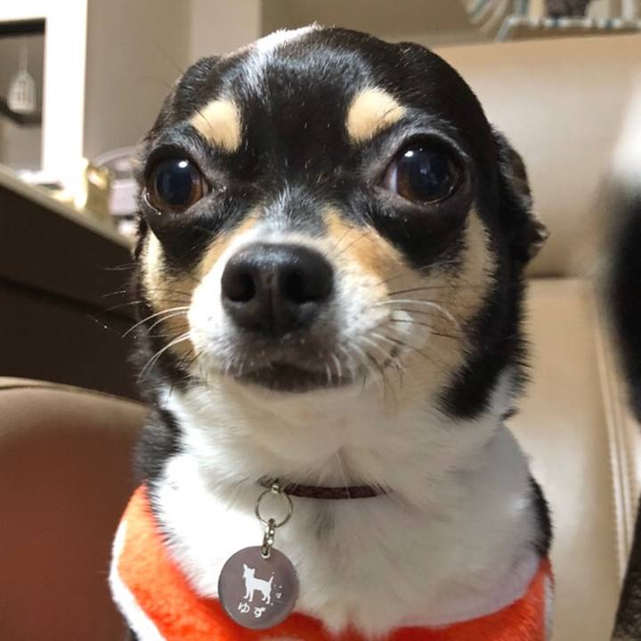 Ff16b276 7188 42a3 920c f5cda55b1f20 1544789323390