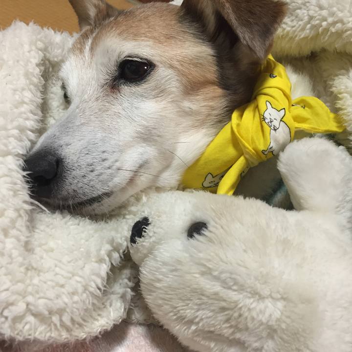 Ff16ec73 9b7b 4015 b7b8 19d04f5160d9 1521634028238