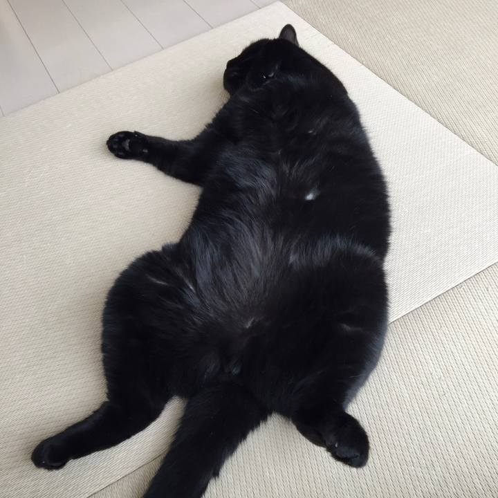 Ff170781 3c57 4f8b 840e fc6b945e6eba 1608261566195