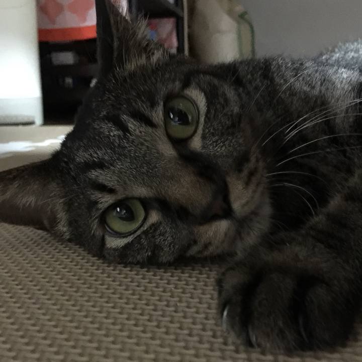 Ff1725ad 4cf2 422d a14d 31f5a675b046 1564702206030