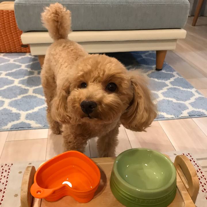 Ff176215 4444 4990 94cf 45dc8dad7279 1547554147080