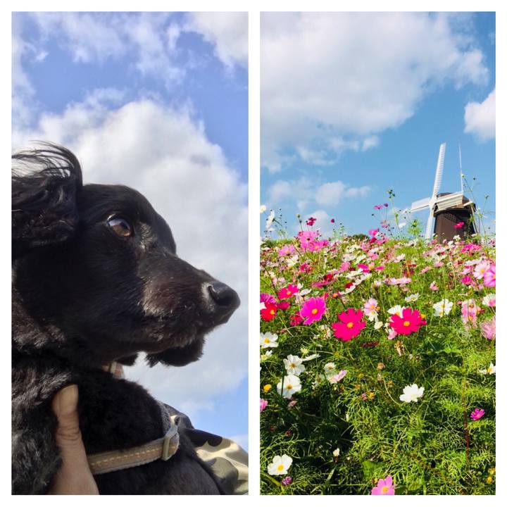 Ff176c50 b43b 4a95 94b4 c399e72baffc 1510218855315