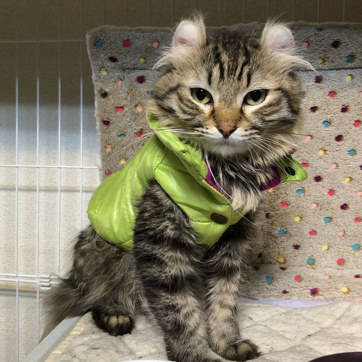 Ff177cac 2e03 4f3c b076 c8c80d505611 1547780818017