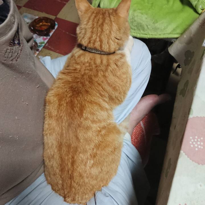 Ff1781e9 6bd7 4574 8ffe f032429278fc 1589401889207