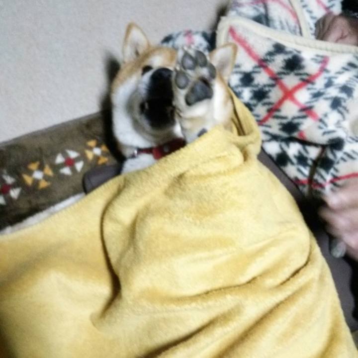 Ff17c290 1cde 466d 8edc 6470f5fb3c5a 1514722974261