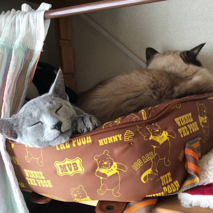 Ff17c818 ce4d 4ec2 9cba cf53ccb6eedc 1514113104378