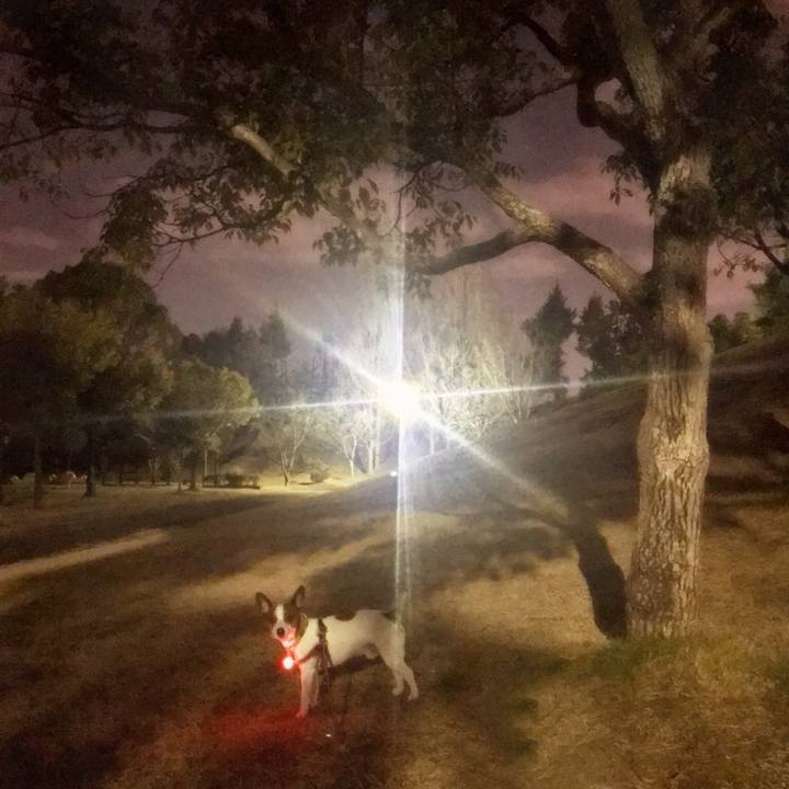 Ff17dd3f 9090 4559 bfb3 078bfa7127c7 1516398045326