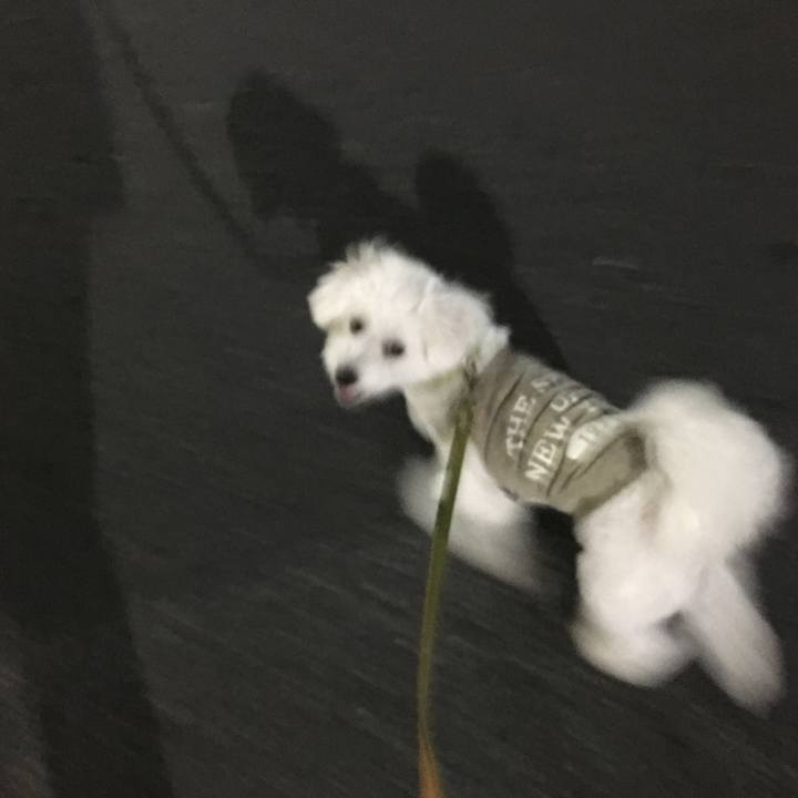 Ff17e779 c595 4b3c a435 20501acbd0a4 1508755737641