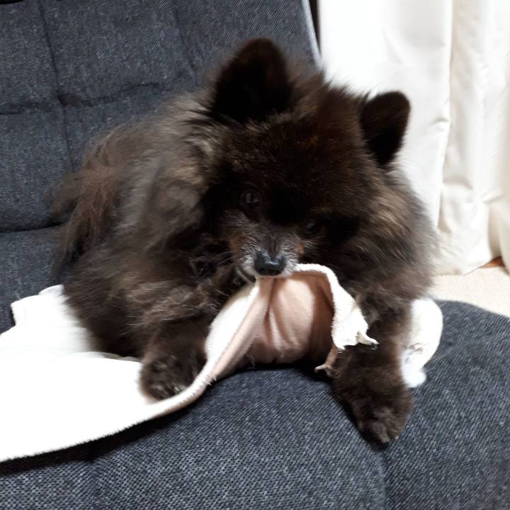 Ff182303 1f7e 40be 9084 dbabea655529 1520794988224