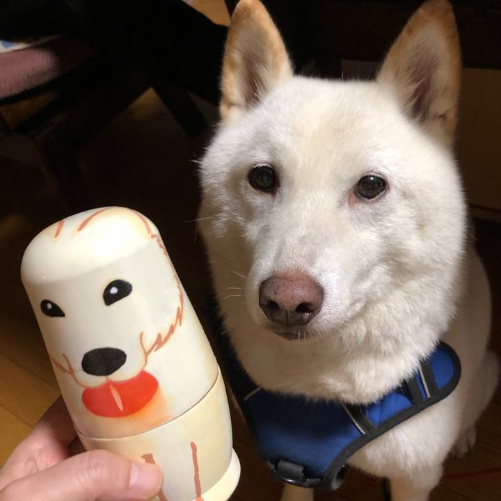 Ff183d6e 073d 477f a793 fc4becae737e 1629970440246