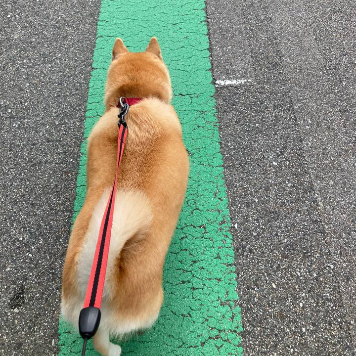 Ff184e89 7347 45fb 9936 5ba525aae7dc 1624437686982