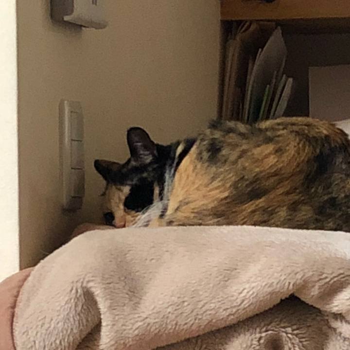 Ff185a0b a1a0 4c24 a9f3 bc659e1fa367 1525171664648