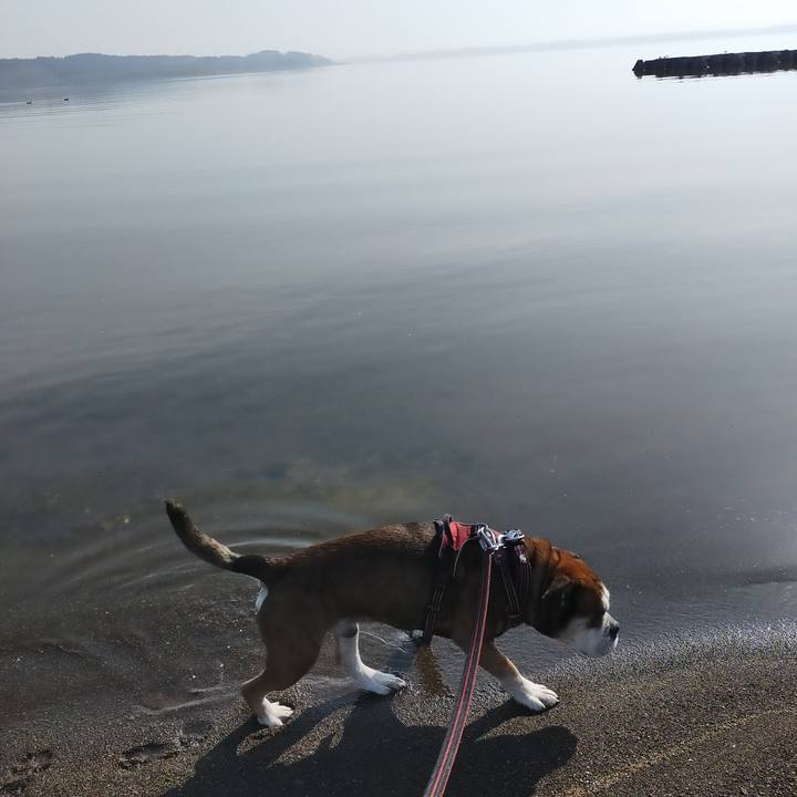 Ff186942 5f35 4b52 856b 4ee9fb1ac22f 1653573751482