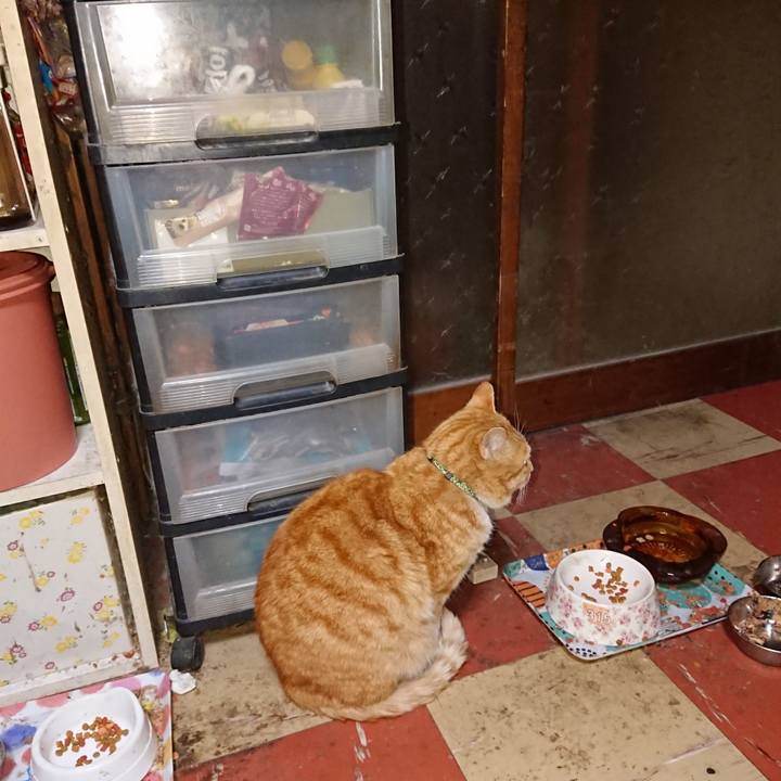 Ff188855 5efb 45d9 97e5 fa3a5d013a55 1584475361075