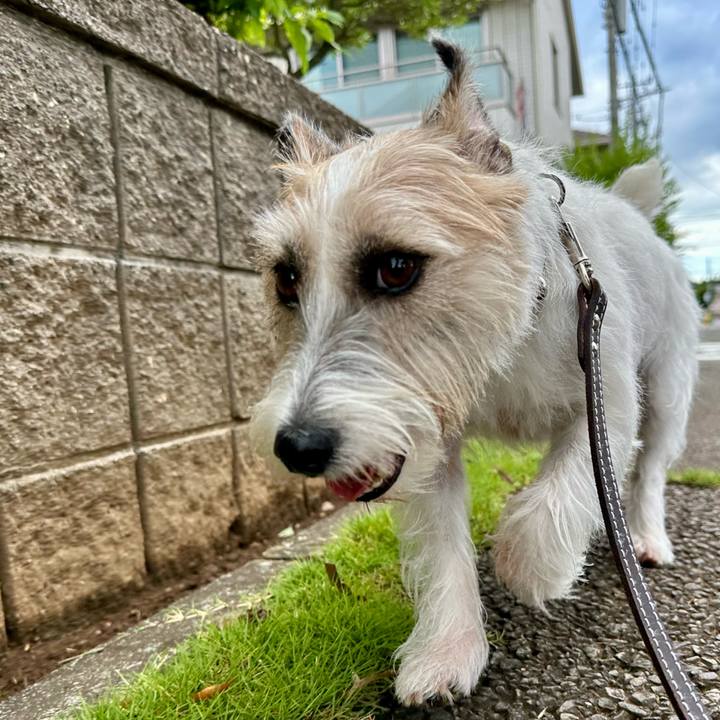 Ff191bce a70e 457b 8657 3e27f5072bfa 1755062263245