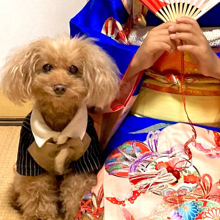 Ff192bc2 5bb6 42ba 83a9 f8941e6d0393 1763971737805