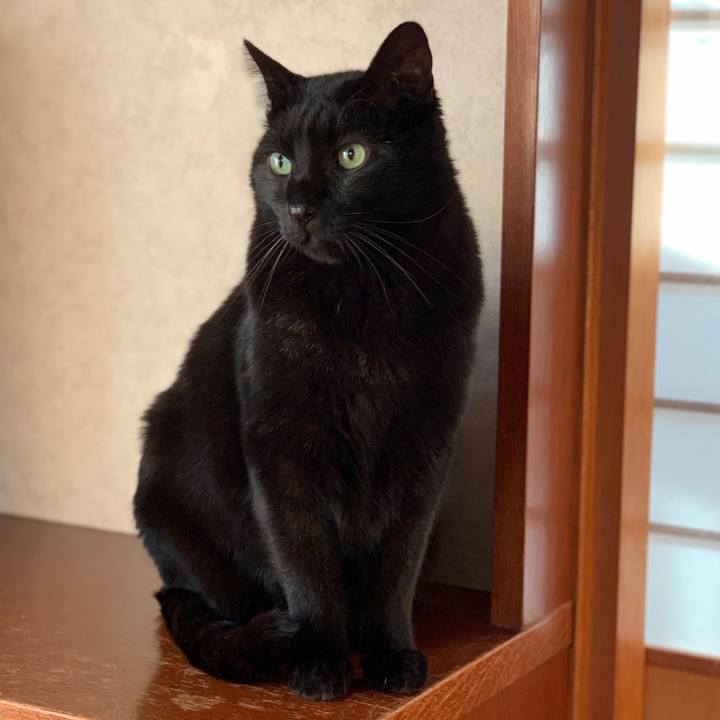 Ff192d15 5a30 4736 b8bd 7a2adca6eb59 1553217645215