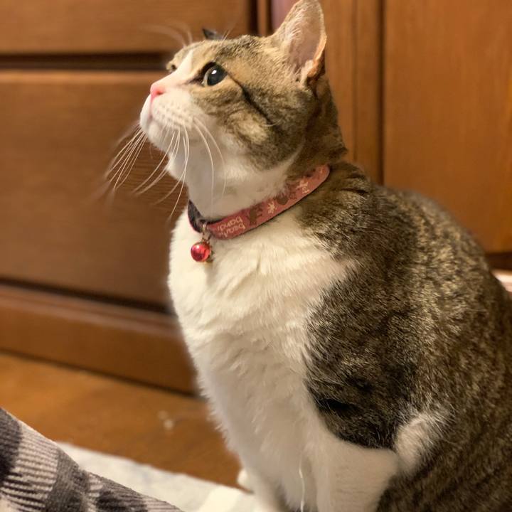 Ff1933e1 56c7 4c76 8482 889e4f7f05c2 1740216304604