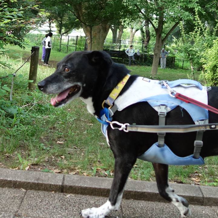 Ff196209 8bb1 419f 8ba4 3fd8a01b4e46 1751500565288