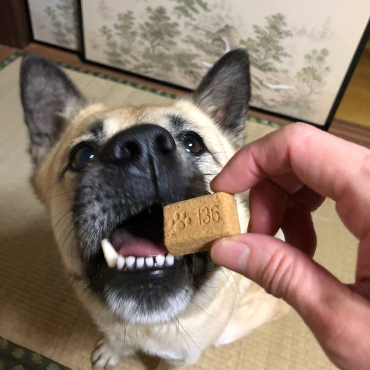 Ff19a661 b777 43aa 8414 4f6e8629bc72 1555933757134