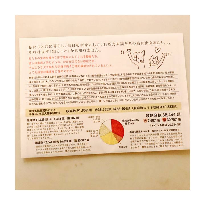 Ff19d762 3920 4b3f a43c 7880553c07fa 1602579153793