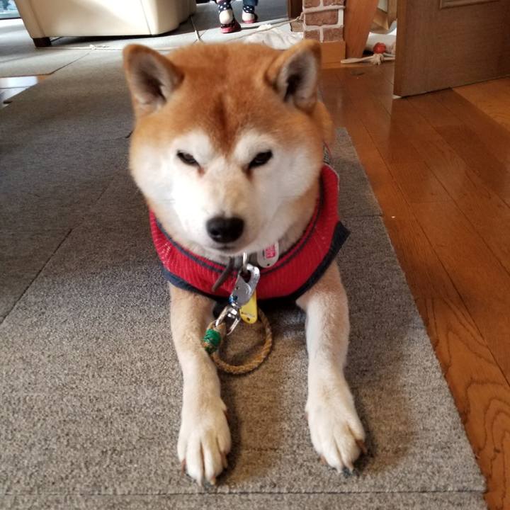 Ff19dd4f d7d4 4afc 87e7 1bd8634ea3b1 1606953960955