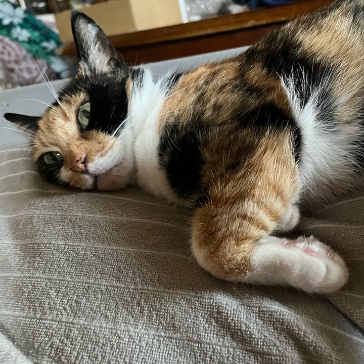 Ff1a1df0 fbc5 46b9 946f 7cdb0694a7b5 1691306830588