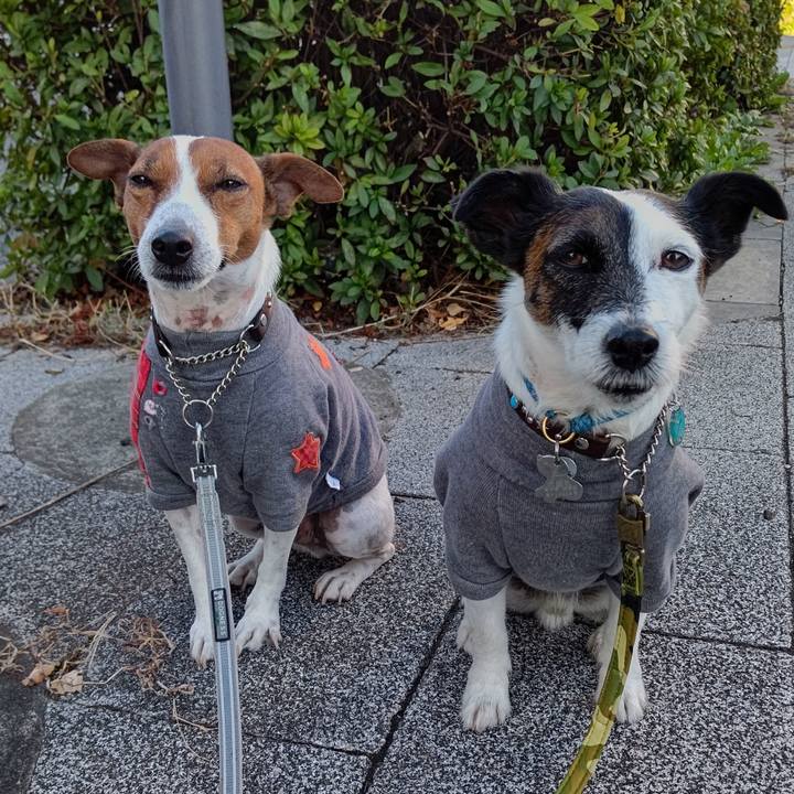 Ff1a269d 3ee6 4166 a4e2 3a7eb95a3a0b 1667169726737