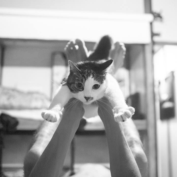 Ff1a458b 8672 4384 bbb1 3d3e63712a36 1566737788557