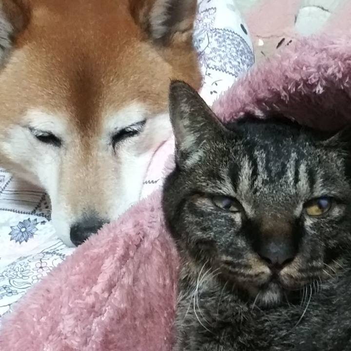 Ff1ab3b3 b359 47bd 8612 056934aeca95 1621688003783