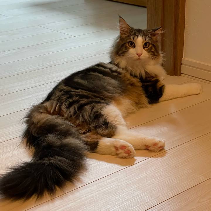 Ff1b049c 78c1 42a3 bec8 7fc5bd08fe91 1641331533386