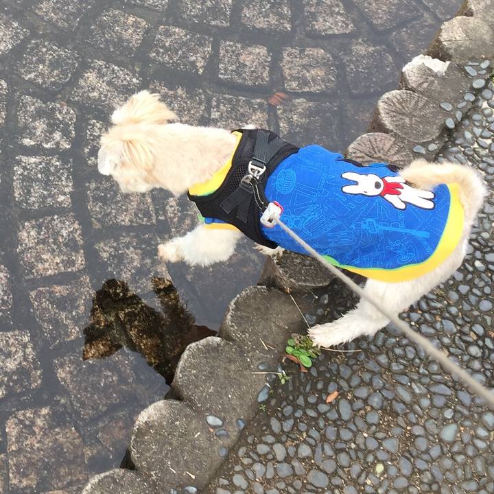 Ff1b1722 813d 4829 a389 dcc9ceadd52d 1544161356484