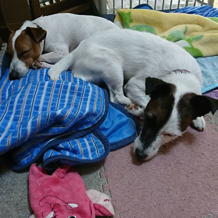 Ff1b3013 62ef 43ad 86a7 e84042ac389d 1534459843399