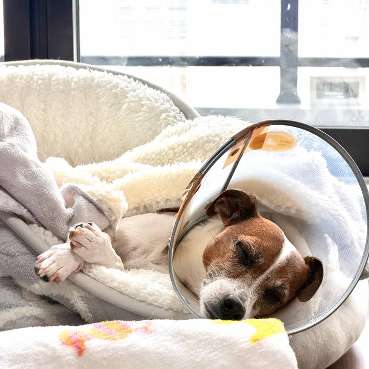 Ff1b3793 0cdc 45b5 a966 82d4898f8f56 1765532354108