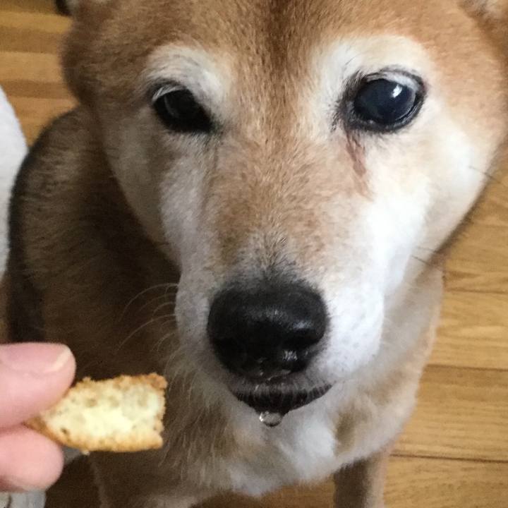 Ff1b430c 44f7 4052 b587 55bfb84e11e3 1631854097599