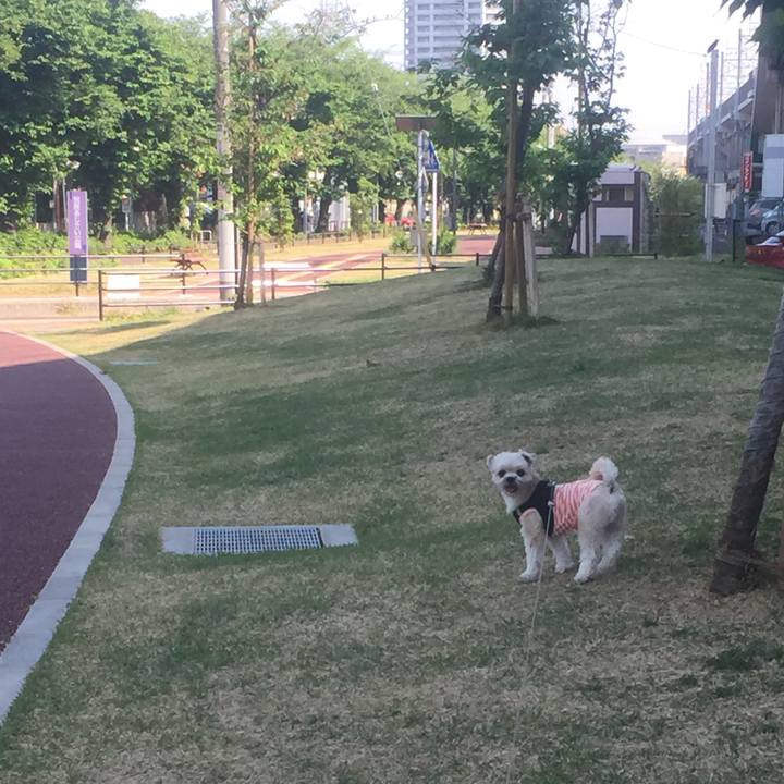 Ff1b5285 935c 4b8e 9070 f098c6717106 1524382657282