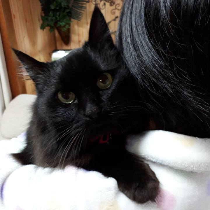 Ff1b5942 501f 4d83 bf29 84e62627d345 1519514729755