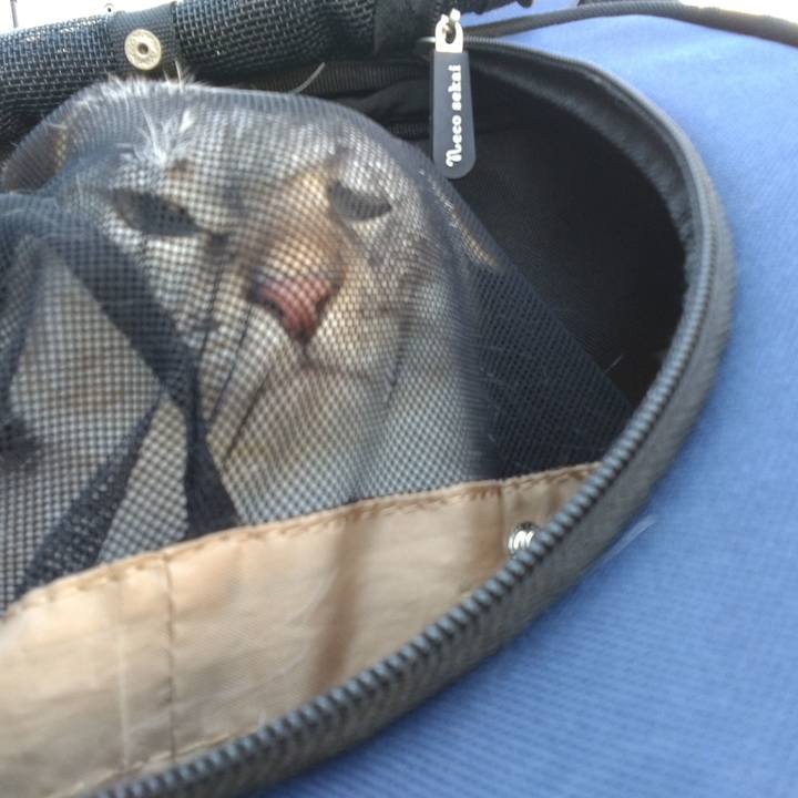 Ff1b63fc c271 459e 9822 368ee9ef0c75 1697252411576