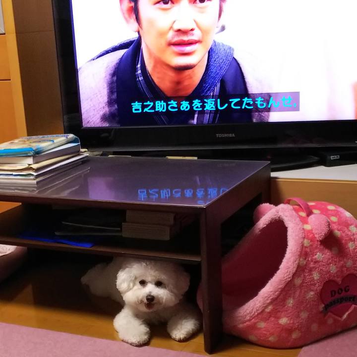 Ff1b7df8 dfd2 4326 b0a3 f3e5c6ae9d26 1528453981112