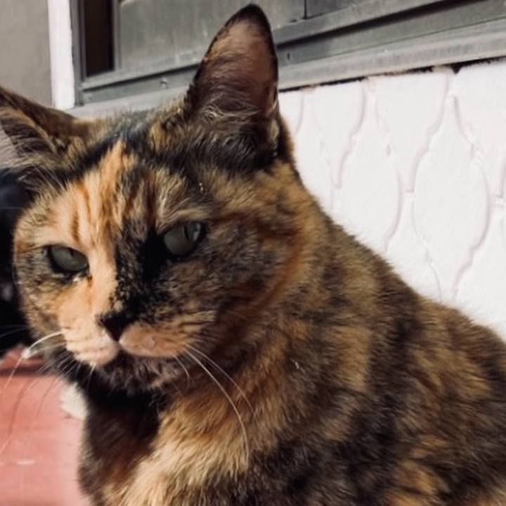 Ff1ba500 91b8 432f 8468 bb6ef9a85d8c 1734662451263