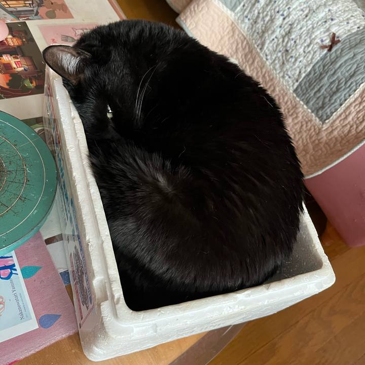 Ff1bbfa3 9ae9 4962 977e 058df7d98fa8 1773294238066