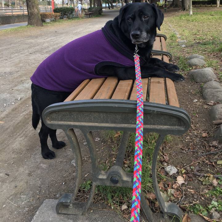 Ff1bd5f9 2dcd 4547 ae97 00b0a3971450 1519003481238