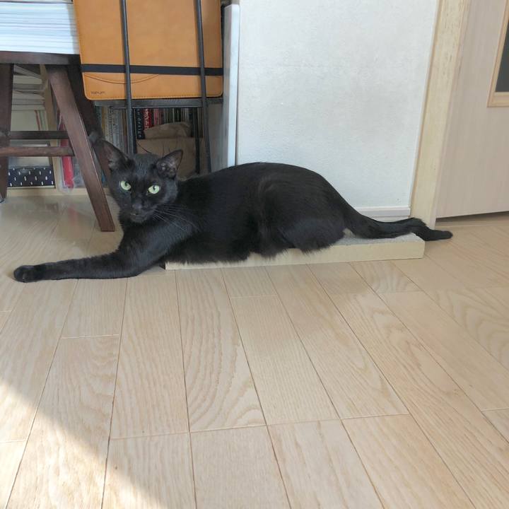 Ff1bf1a7 7a7b 4e25 811d 700e9b21e4a0 1596547595909