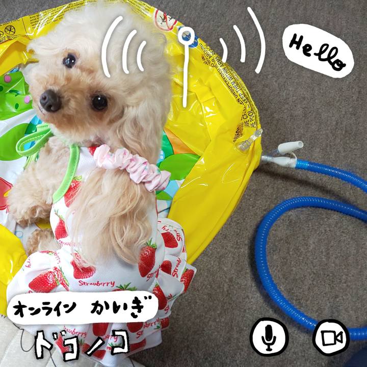 Ff1c04f1 bad9 492a b4d4 43e580cbe2b3 1590925559002