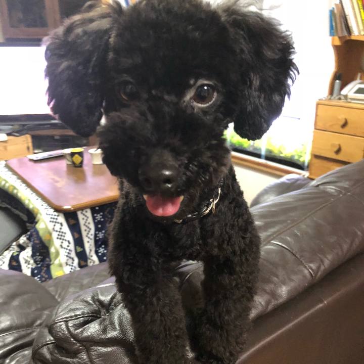 Ff1c1e70 54f1 4b1b 916a 0c38aafb70ee 1521758311087