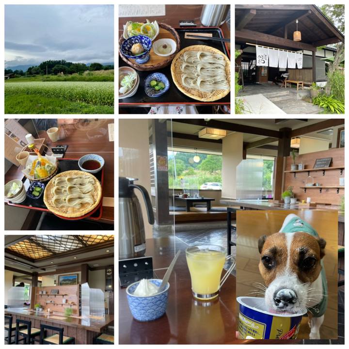 Ff1c38c8 3d57 435c 8dcd 97750f59a97b 1629782880490