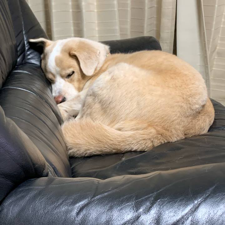 Ff1c560a 54e4 4106 915c 0a7a5d1fe9e2 1573399130454